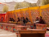 IMG 9431 : Indien, Ladakh, Nubra Valley