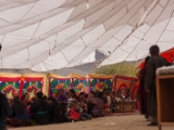 IMG 9436 : Indien, Ladakh, Nubra Valley
