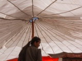 IMG 9440 : Indien, Ladakh, Nubra Valley