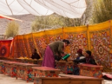 IMG 9442 : Indien, Ladakh, Nubra Valley