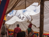 IMG 9458 : Indien, Ladakh, Nubra Valley