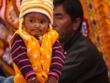 IMG 9521 : Indien, Ladakh, Nubra Valley