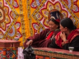 IMG 9534 : Indien, Ladakh, Nubra Valley