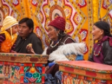 IMG 9535 : Indien, Ladakh, Nubra Valley