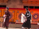 IMG 9559 : Indien, Ladakh, Nubra Valley