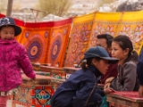 IMG 9567 : Indien, Ladakh, Nubra Valley