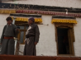 IMG 9624 : Indien, Ladakh, Nubra Valley
