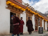 IMG 9628 : Indien, Ladakh, Nubra Valley