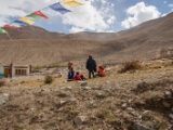 IMG 9640 : Indien, Ladakh, Nubra Valley