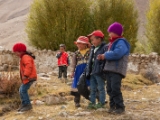 IMG 9647 : Indien, Ladakh, Nubra Valley
