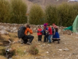 IMG 9659 : Indien, Ladakh, Nubra Valley