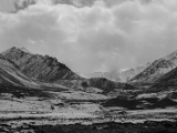 IMG 9704 : Indien, Ladakh, Nubra Valley