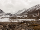 IMG 9705 : Indien, Ladakh, Nubra Valley