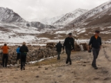 IMG 9707 : Indien, Ladakh, Nubra Valley