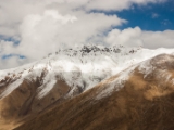IMG 9711 : Indien, Ladakh, Nubra Valley