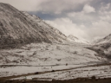 IMG 9719 : Indien, Ladakh, Nubra Valley