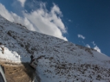 IMG 9805 : Indien, Ladakh, Nubra Valley