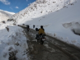 IMG 9826 : Indien, Ladakh, Nubra Valley