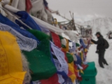 IMG 9875 : Indien, Ladakh, Nubra Valley