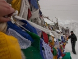 IMG 9876 : Indien, Ladakh, Nubra Valley