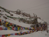 IMG 9880 : Indien, Ladakh, Nubra Valley