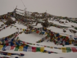 IMG 9881 : Indien, Ladakh, Nubra Valley