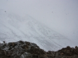 IMG 9895 : Indien, Ladakh, Nubra Valley