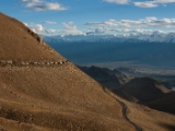 IMG 9963 : Indien, Ladakh, Nubra Valley