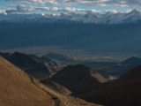 IMG 9968 : Indien, Ladakh, Nubra Valley