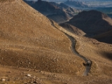 IMG 9970 : Indien, Ladakh, Nubra Valley