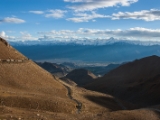 IMG 9974 : Indien, Ladakh, Nubra Valley