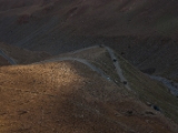 IMG 9981 : Indien, Ladakh, Nubra Valley