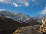 IMG 9994 : Indien, Ladakh, Nubra Valley