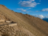 IMG 9997 : Indien, Ladakh, Nubra Valley