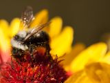 20150913-IMG 0003