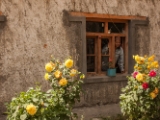 IMG 0568 : Ladakh