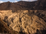 IMG 0827 : Ladakh