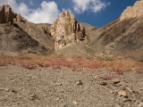 IMG 1258 : Ladakh