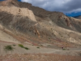 IMG 1270 : Ladakh
