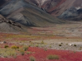 IMG 1308 : Ladakh