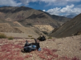 IMG 1317 : Ladakh