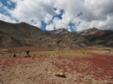 IMG 1318 : Ladakh
