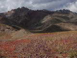 IMG 1335 : Ladakh