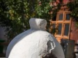 IMG 1470 : Ladakh