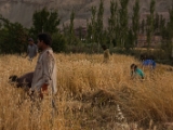 IMG 1518 : Ladakh