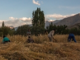 IMG 1543 : Ladakh