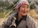 IMG 1554 : Ladakh