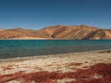 IMG 2511 : Ladakh