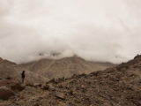 IMG 8883 : Ladakh