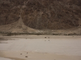 IMG 8899 : Ladakh